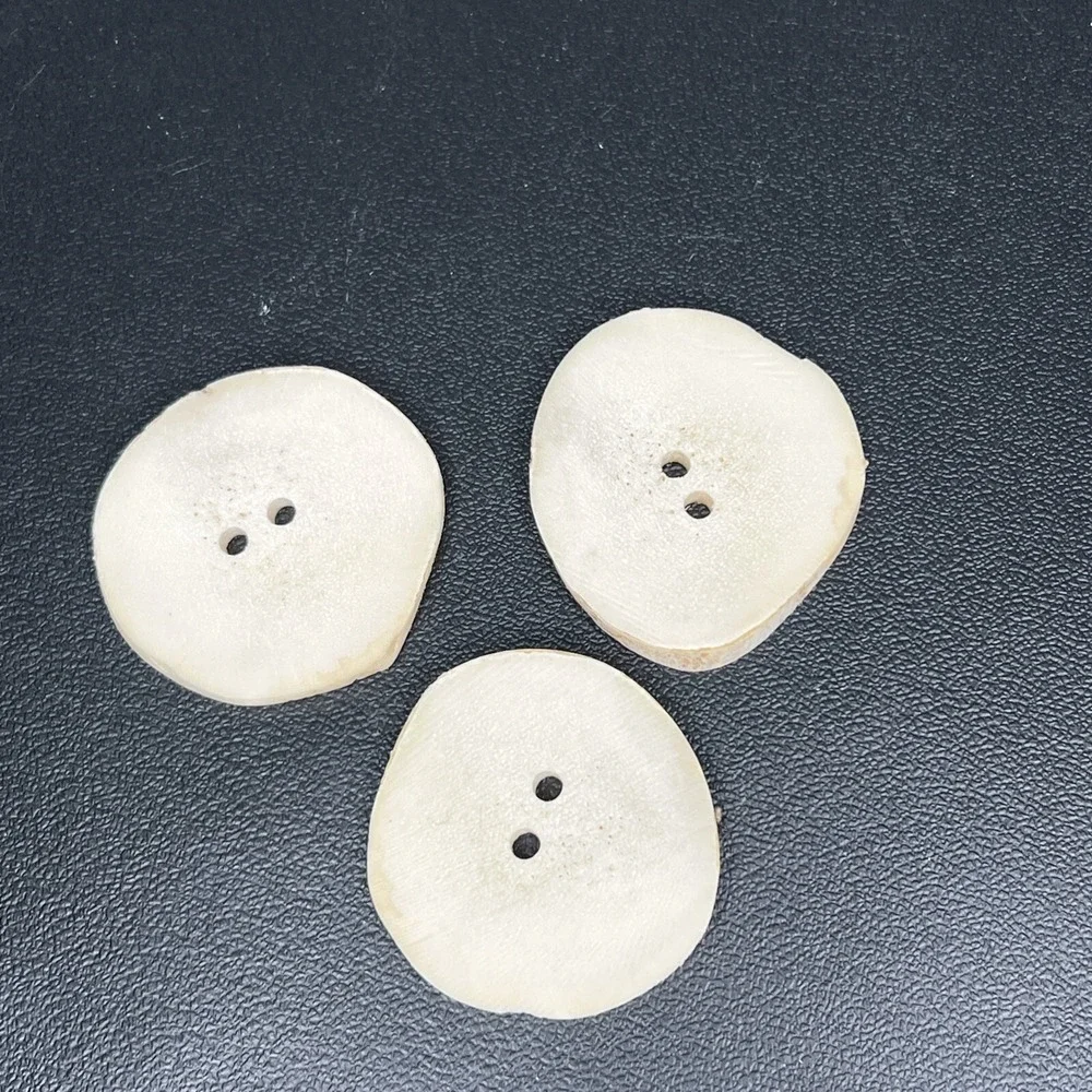Antler Button Whitetail Large Buttons Elk Antler Buttons Craft Taxidermy Lot 3